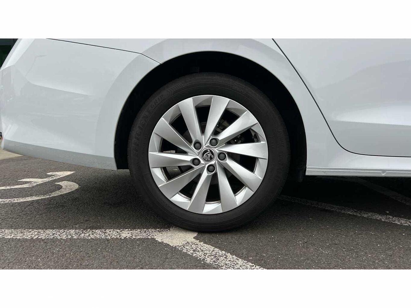 SKODA OCTAVIA Hatch First Edition 1.5 TSI 150 PS 6G Man