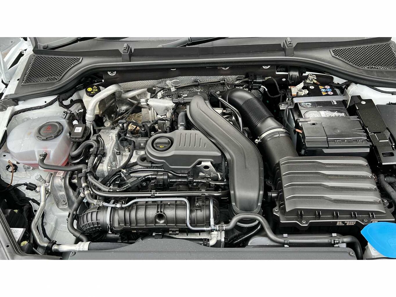 SKODA OCTAVIA Hatch First Edition 1.5 TSI 150 PS 6G Man