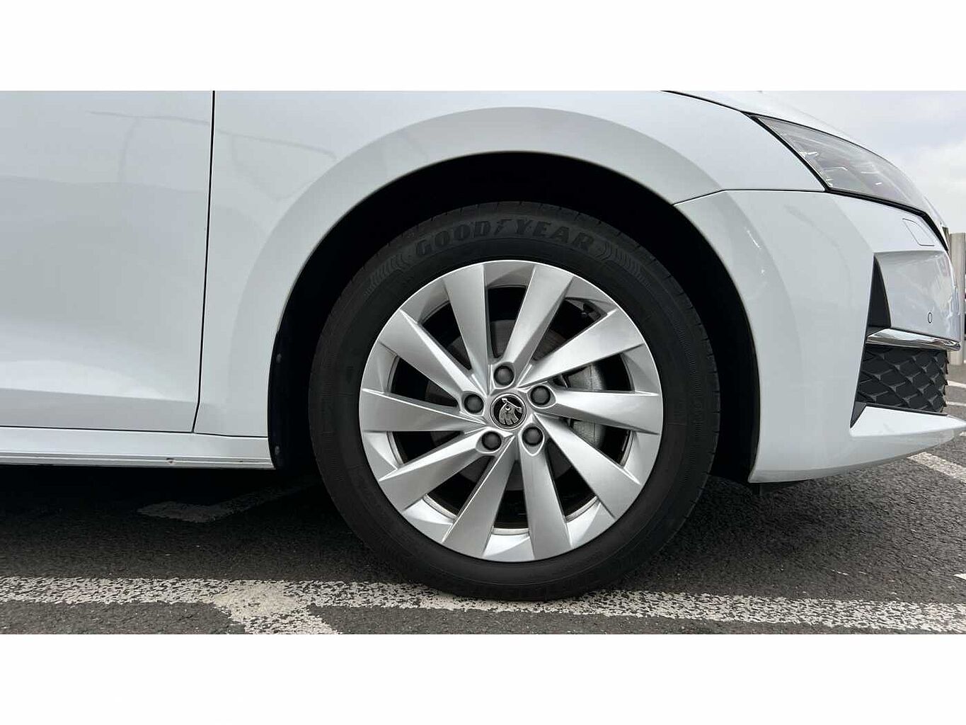 SKODA OCTAVIA Hatch First Edition 1.5 TSI 150 PS 6G Man