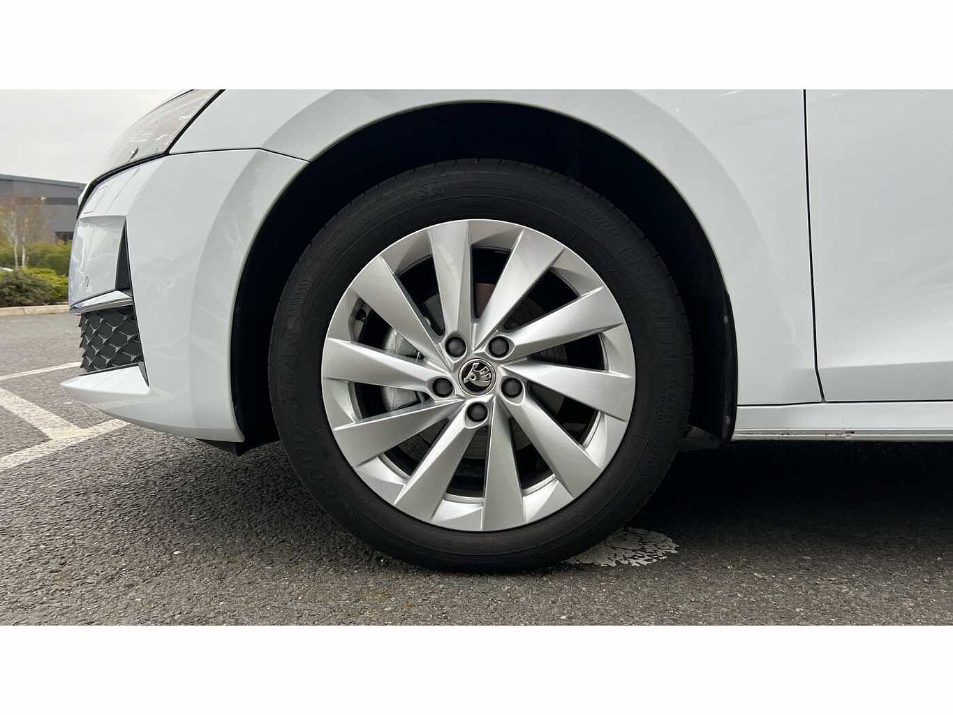 SKODA OCTAVIA Hatch First Edition 1.5 TSI 150 PS 6G Man