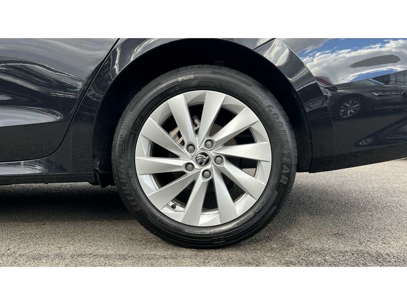 SKODA OCTAVIA Hatch SE L 1.5 TSI 150 PS 6G Man